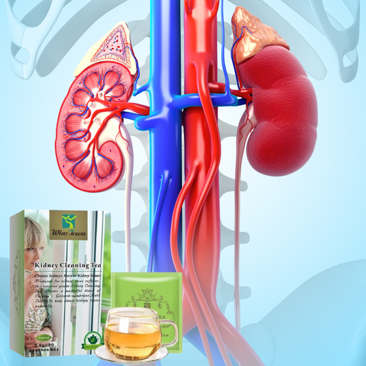 Thé Nettoyant aux Herbes Winstown pour le Nettoyage des Reins